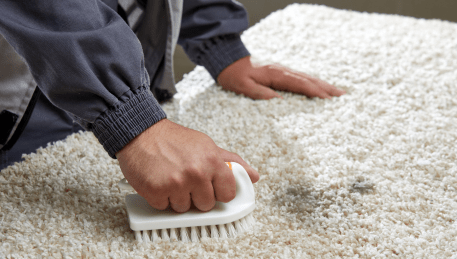Professional Rug Cleaning Heatherton